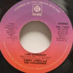 Jimmy James And The Vagabonds - I Am Somebody/Chains Of Love