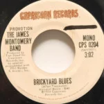 James Montgomery Band - Brickyard Blues