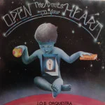 J.O.B. Orquestra - Open The Doors To Your Heart