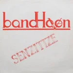 BandHaven - Senzitize