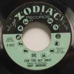 Ruby Andrews - CAn You Get Away/Everybody Saw You